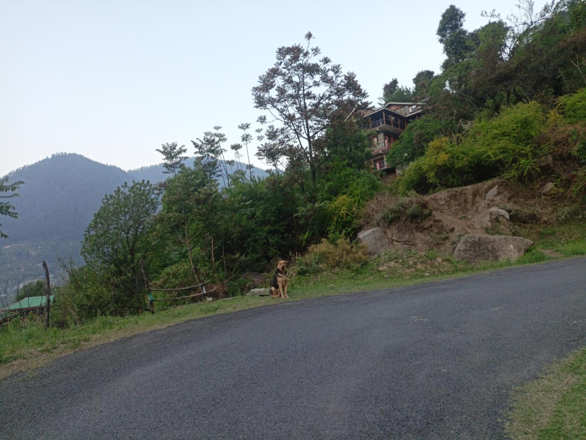 Tirthan Hilltop Home Stay Banjār Exterior foto