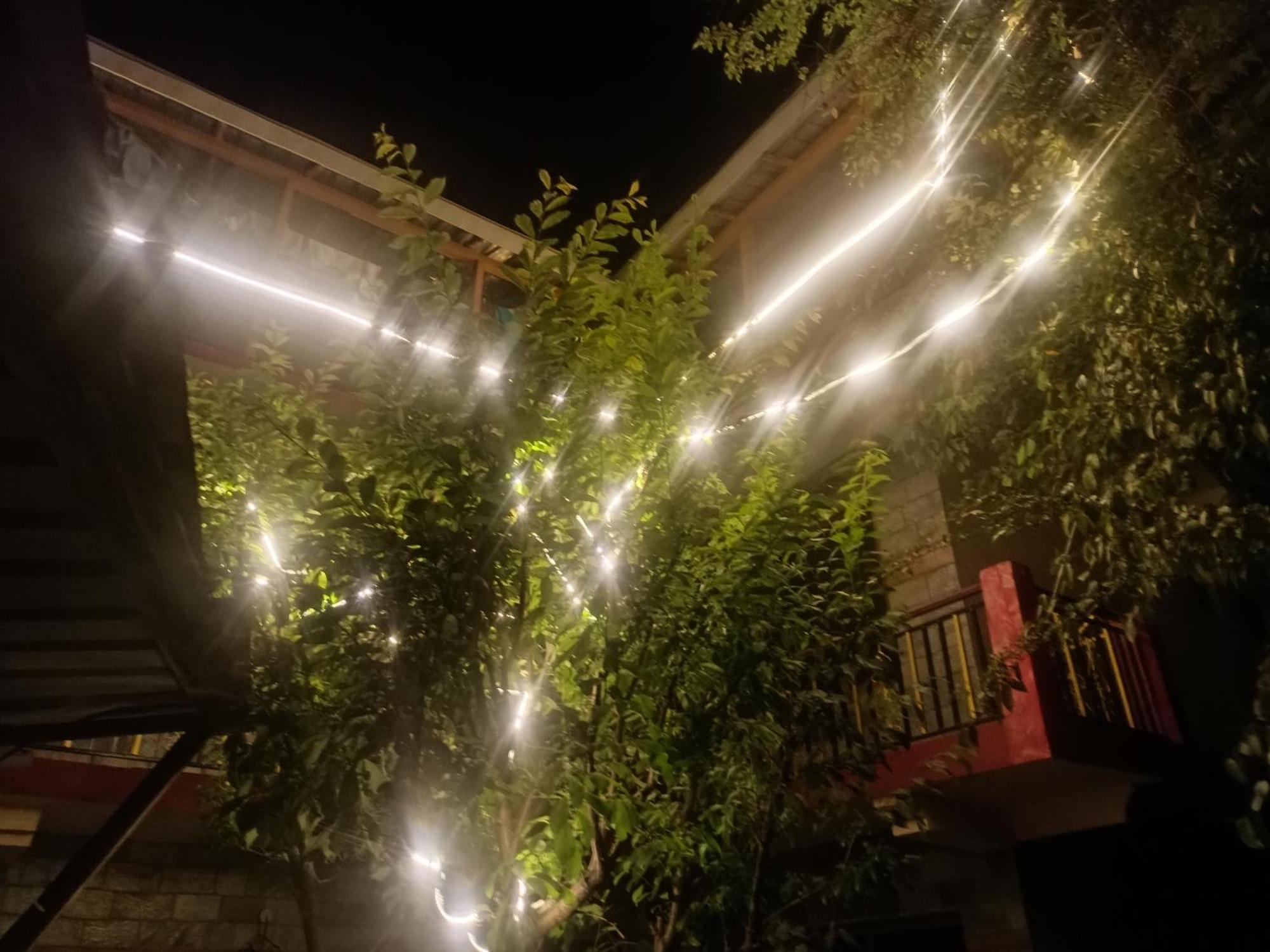 Tirthan Hilltop Home Stay Banjār Exterior foto